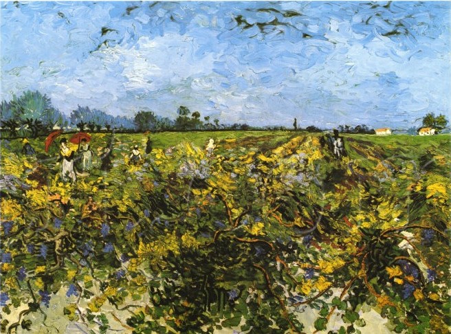 The Green Vineyard - Van Gogh Painting On Canvas